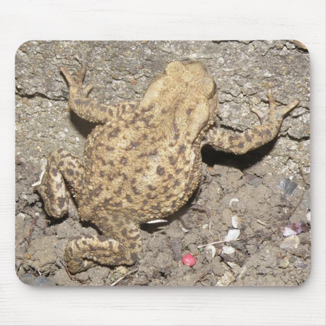 Tapis De Souris Cute Crawling Toad Mousepad (Devant)