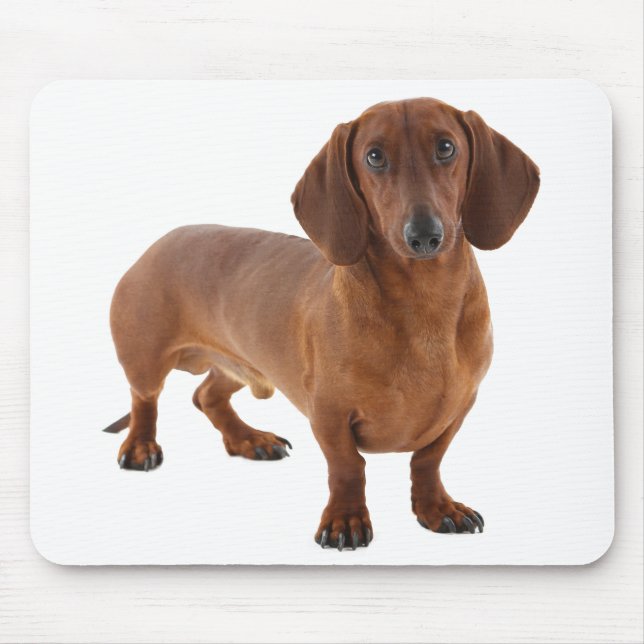 Tapis De Souris Cute Doxin Wiener Chiot Amoureux des chiens Cadeau (Devant)