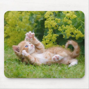 Tapis De Souris Cute drôle chaton jouant dans un jardin fleuri —