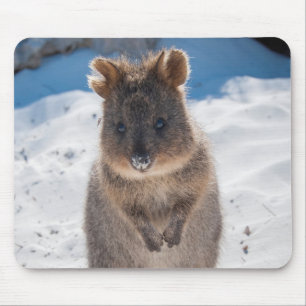 Tapis De Souris Cute et heureuse Quokka sur la plage en Australie