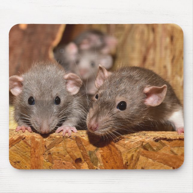 Tapis De Souris Cute et ironique (Devant)