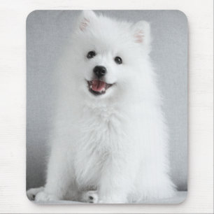 Tapis De Souris Cute Fluffy Japonais Spitz Puppy