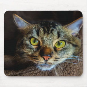 Tapis De Souris Cute Fluffy Tabby Chat