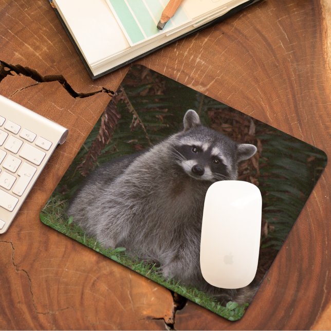 Tapis De Souris Cute Forest Raccoon Photo Faune (In Situ)