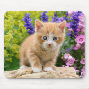 Tapis De Souris Cute Ginger Cat Kitten in Flowery Garden Portrait
