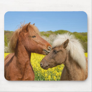 Tapis De Souris Cute islandaise Horses Cuddle dans une prairie pri