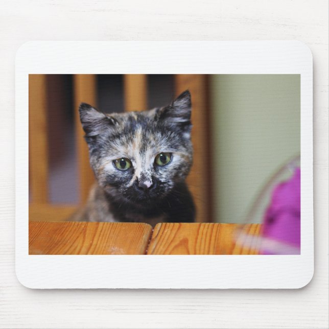 Tapis De Souris Cute Kitten noir et blanc (Devant)