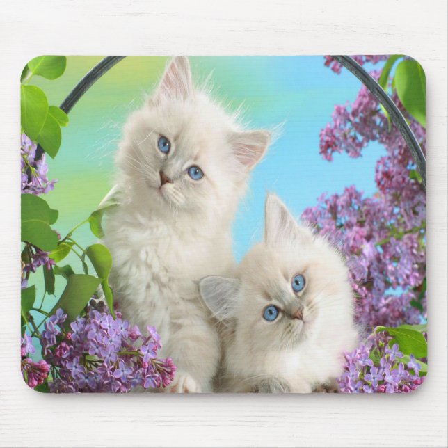 Tapis De Souris Cute Kittens (Devant)