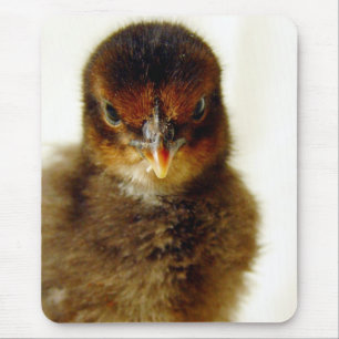 Tapis De Souris Cute Little Chick
