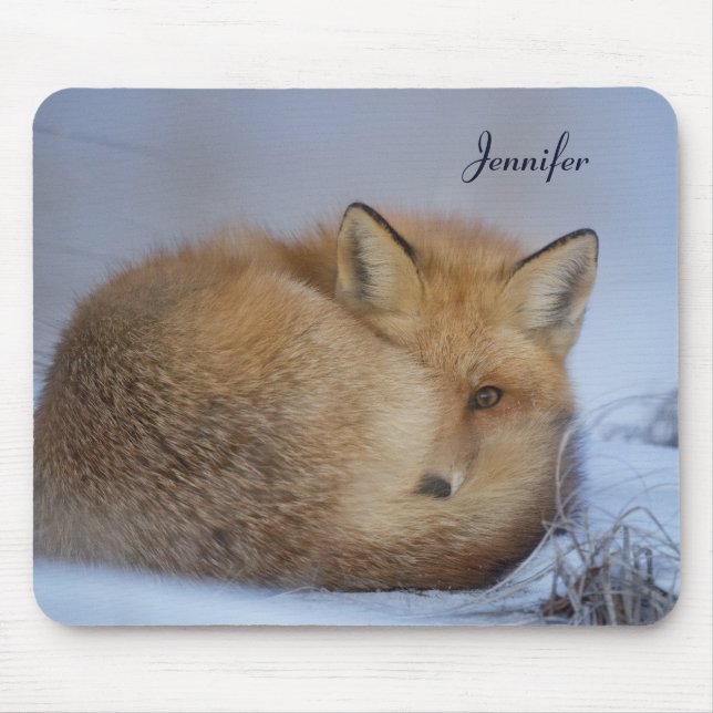 Tapis De Souris Cute Little Fox Curling Up Winter Photo (Devant)