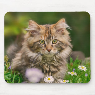 Tapis De Souris Cute Maine Cat Con Chat Cat en Pré Fleur Approvisi