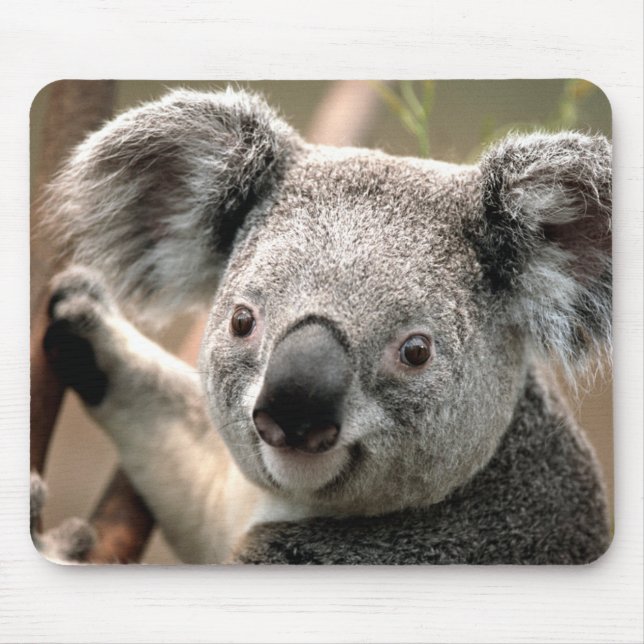 Tapis De Souris Cute Ours Koala (Devant)