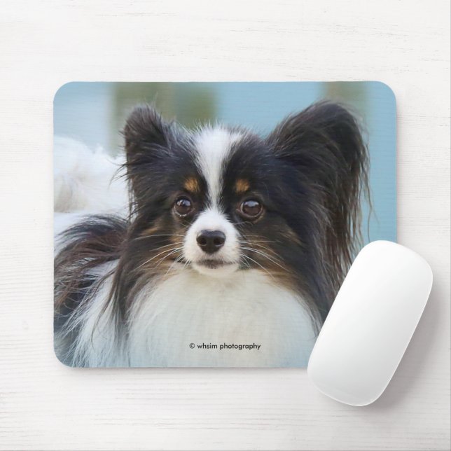 Tapis De Souris Cute Papillon Toy Spaniel Dog at the Dock (Avec souris)