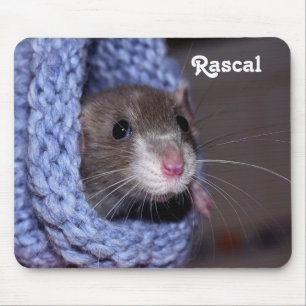 Tapis De Souris Cute personnalisée Bébé Animal de compagnie Rat