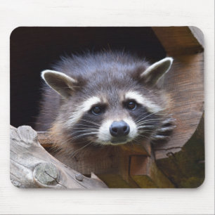 Tapis De Souris Cute Raccoon