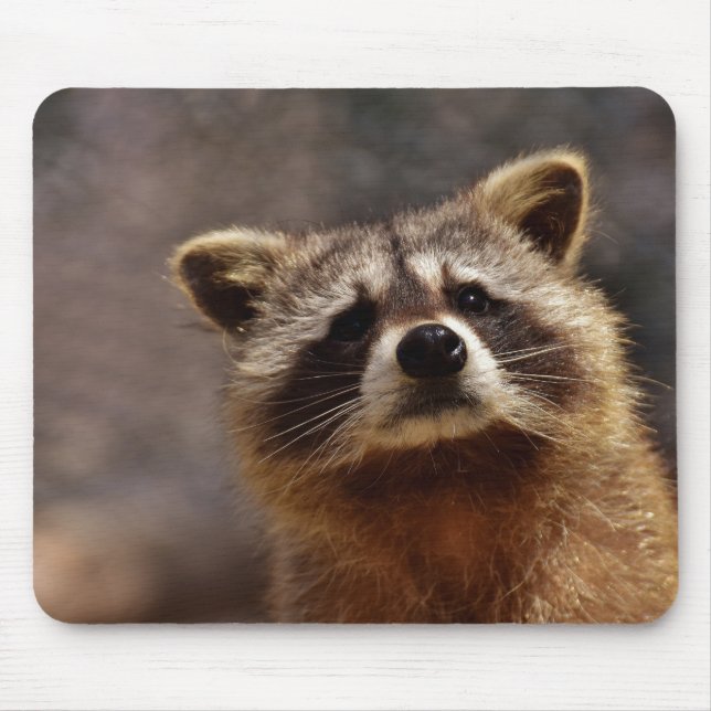 Tapis De Souris Cute Racoon (Devant)