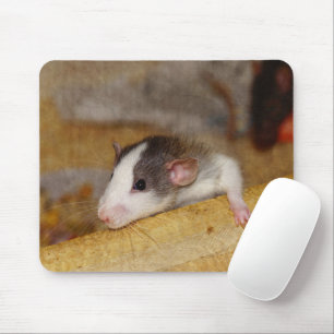 Tapis De Souris Cute rat