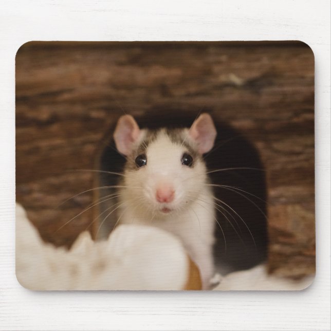 Tapis De Souris Cute Rat (Devant)