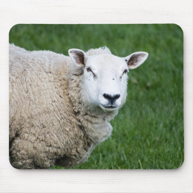 Tapis De Souris Cute Sheep (Devant)