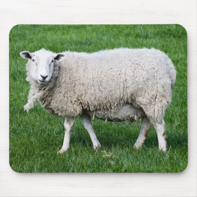 Tapis De Souris Cute Sheep (Devant)