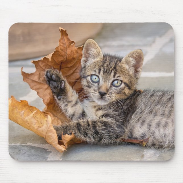 Tapis De Souris Cute Tabby Chat Kitten Jouer avec une feuille (Devant)