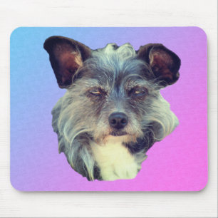 Tapis De Souris Cute Terrier Chien