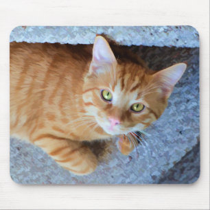 Tapis De Souris Cute Vert Yeux Orange Tabby Chat