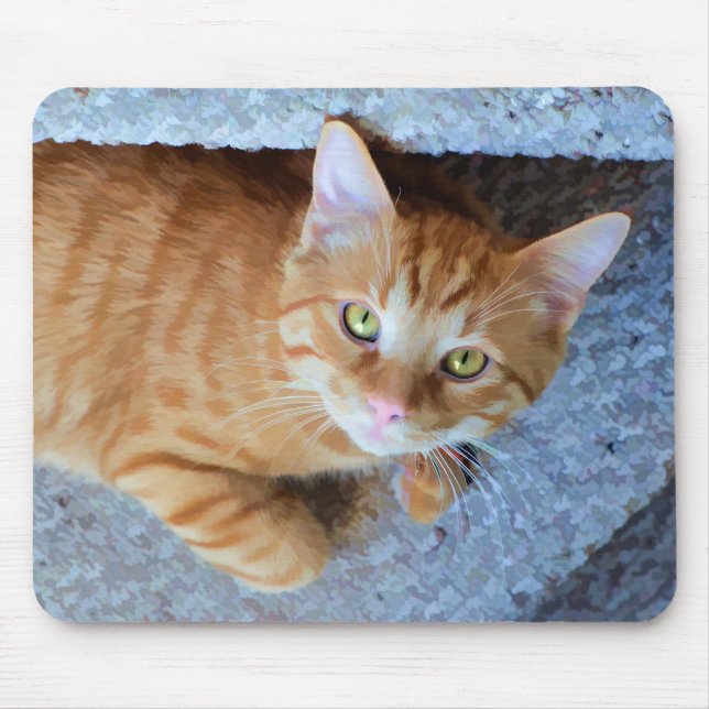 Tapis De Souris Cute Vert Yeux Orange Tabby Chat (Devant)