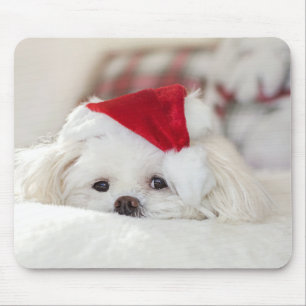 Tapis De Souris Cute White Dog in a Red Christmas Hat