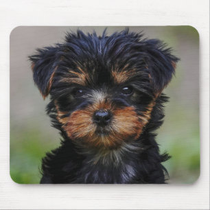 Tapis De Souris Cute Yorkie Puppy