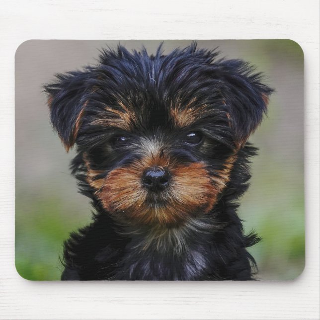 Tapis De Souris Cute Yorkie Puppy (Devant)