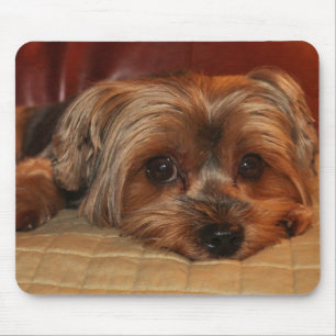 Tapis De Souris Cute Yorkshire Terrier Mousepad