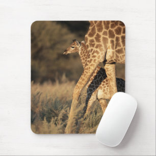 Tapis De Souris Cutest Baby Animals   Baby Giraffe & Parent