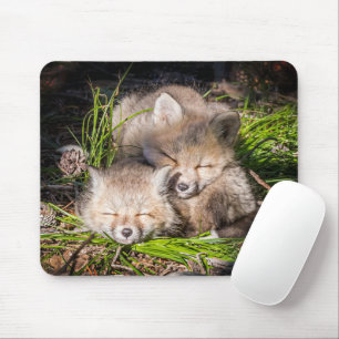 Tapis De Souris Cutest Baby Animals   Baby Red Fox Kits Sleeping