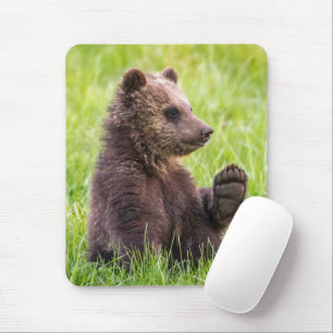 Tapis De Souris Cutest Baby Animals   Brown Bear Cub Wave