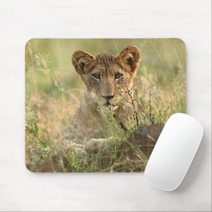 Tapis De Souris Cutest Baby Animals   Cute Baby Lion Cub