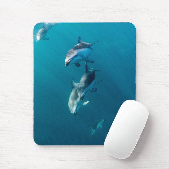 Tapis De Souris Cutest Baby Animals | Dolphin Family (Avec souris)
