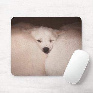 Tapis De Souris Cutest Baby Animals Golden Retriever Snuggle