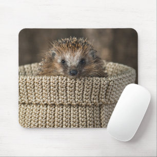 Tapis De Souris Cutest Baby Animals Hedgehog in a Basket
