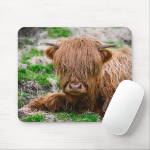 Tapis De Souris Cutest Baby Animals   Highland Cow Calf
