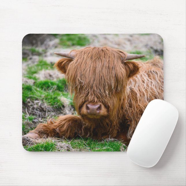 Tapis De Souris Cutest Baby Animals | Highland Cow Calf (Avec souris)