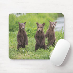 Tapis De Souris Cutest Baby Animals Kamchatka Brown Bear Cubs