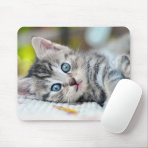 Tapis De Souris Cutest Baby Animals Kitten With Blue Eyes