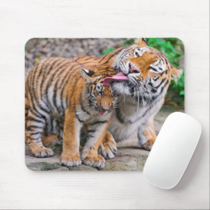 Tapis De Souris Cutest Baby Animals   Siberian Tiger Family