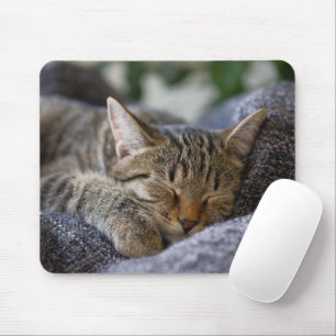 Tapis De Souris Cutest Baby Animals Tabby Kitten Sleeping