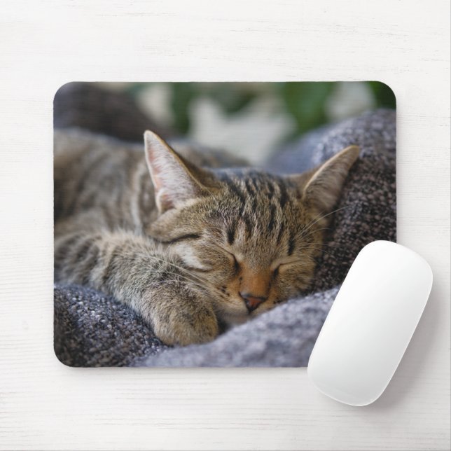 Tapis De Souris Cutest Baby Animals | Tabby Kitten Sleeping (Avec souris)