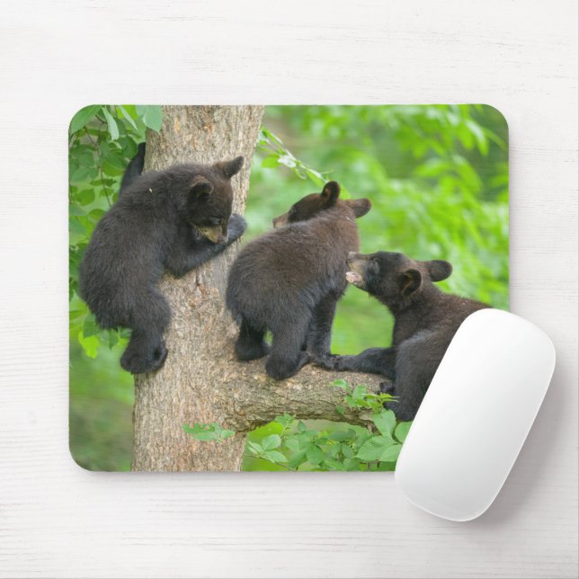 Tapis De Souris Cutest Baby Animals | Three Young Black Bear Cubs (Avec souris)