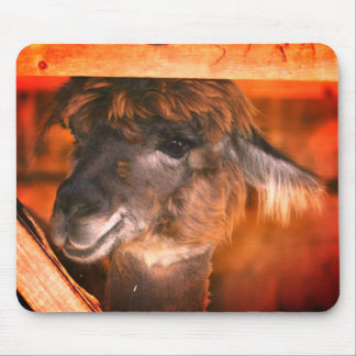 Tapis De Souris Cutey Llama Animal