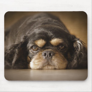 Tapis De Souris Cutie Cav !