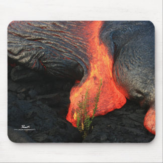 Tapis De Souris Cycle de la vie - Hawaï, la grande île